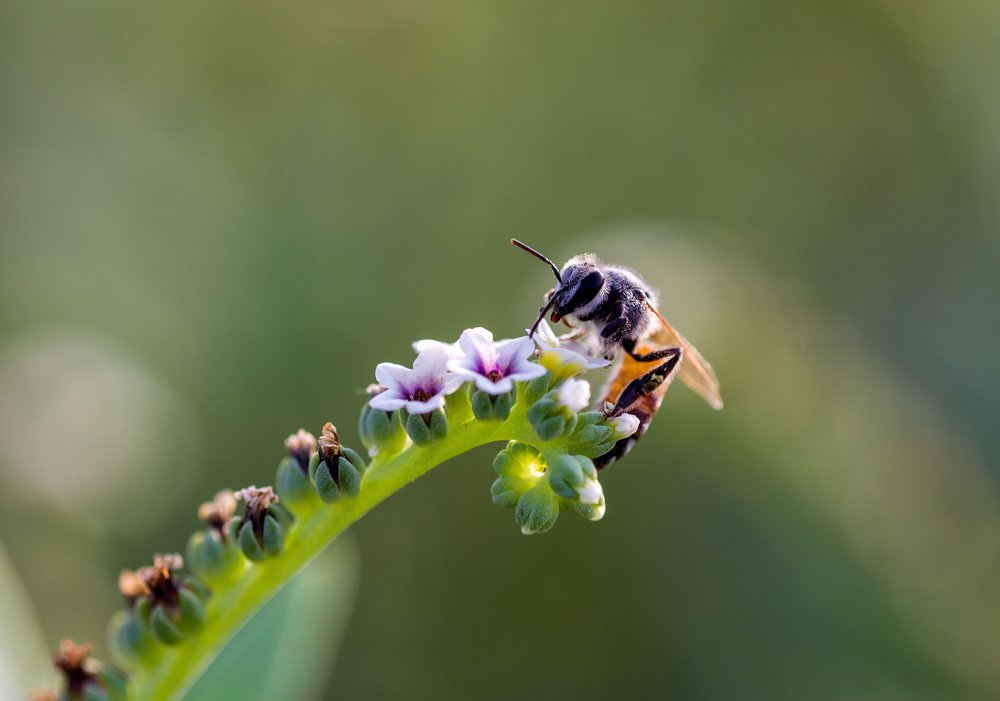 Photograph by Safdar Bin abbas