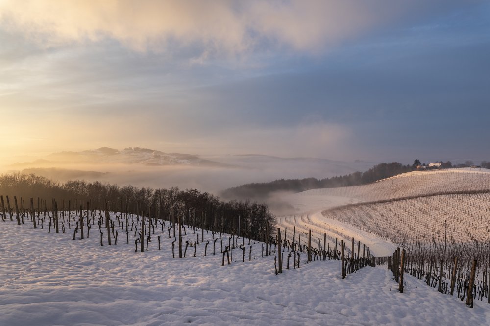 Photograph by Sandi Kelc