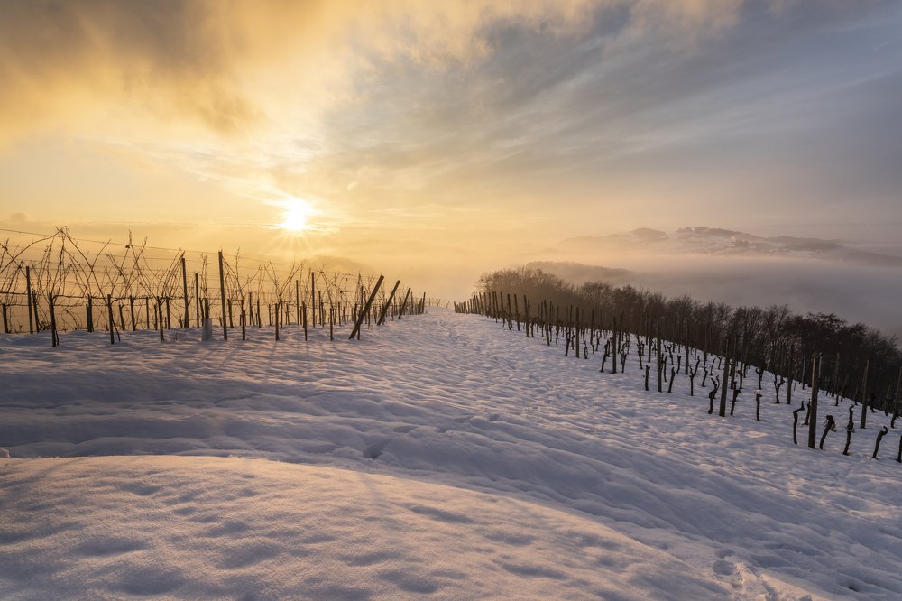 Photograph by Sandi Kelc