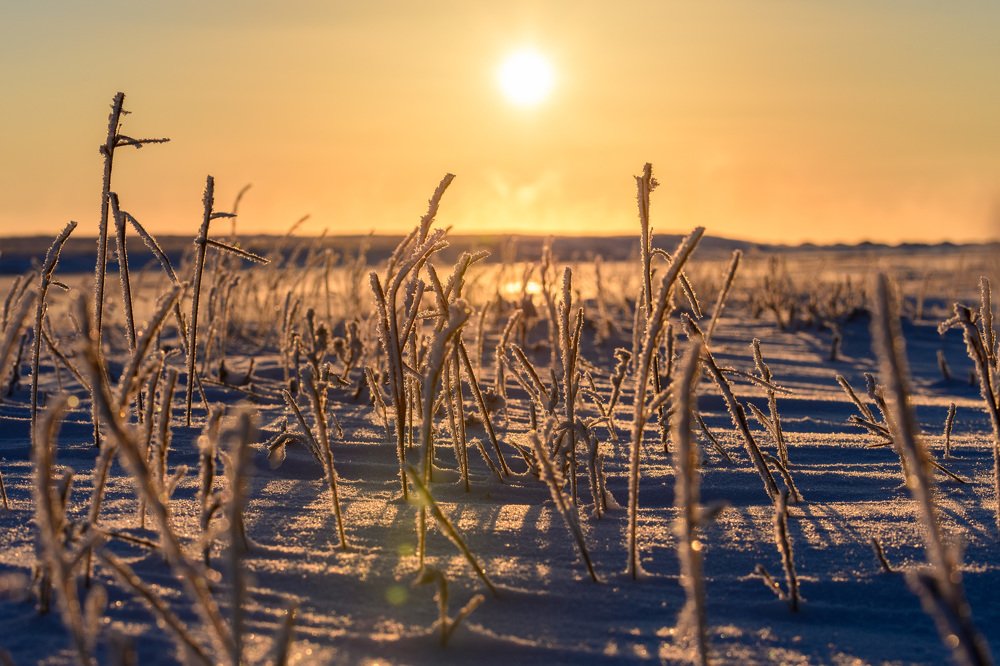 Photograph by Alexey Seafarer
