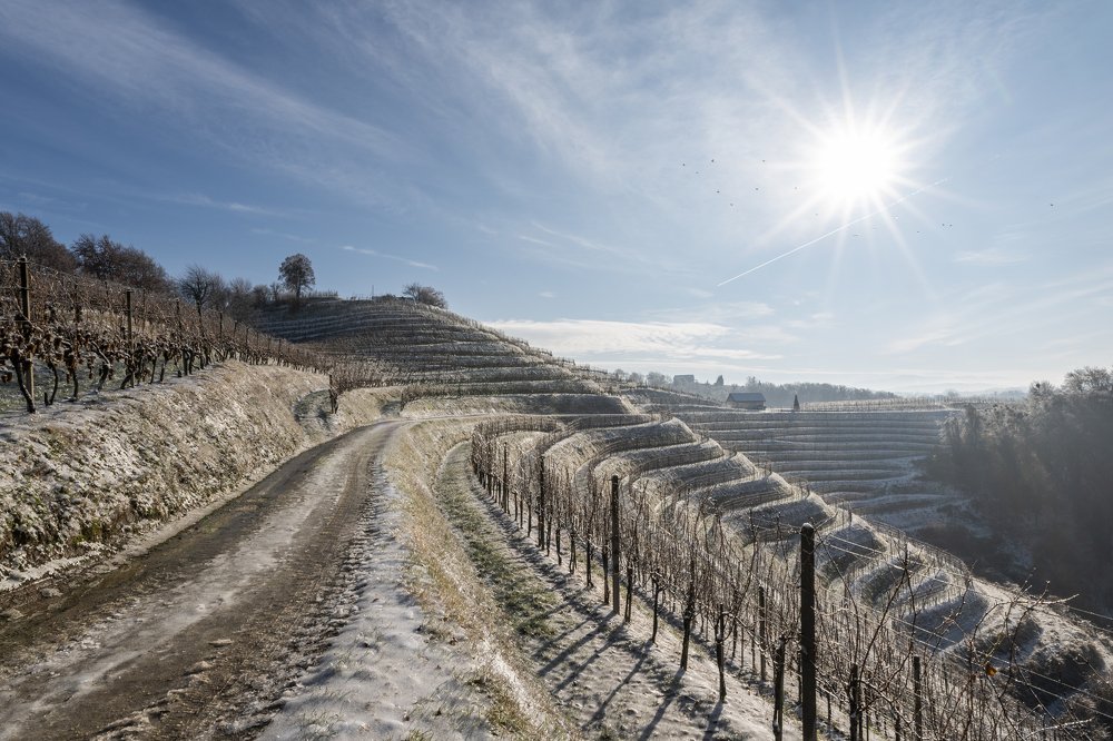 Photograph by Sandi Kelc