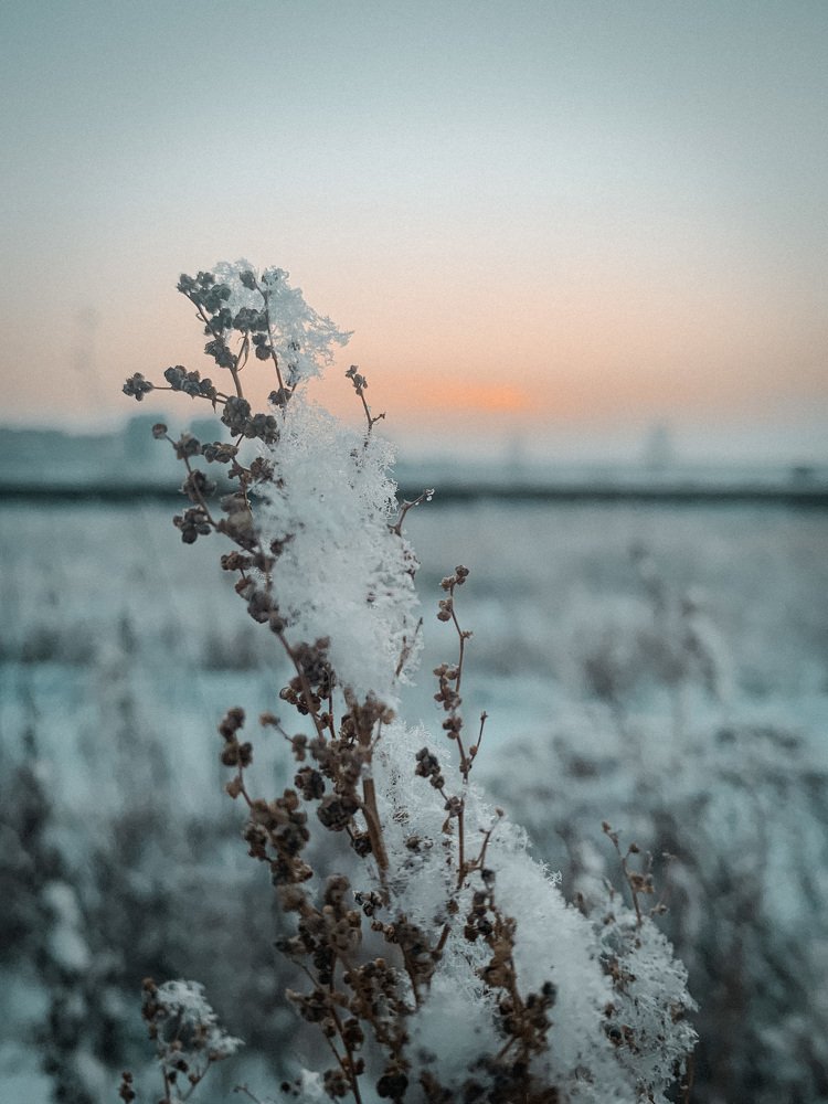 Пушистое покрывало