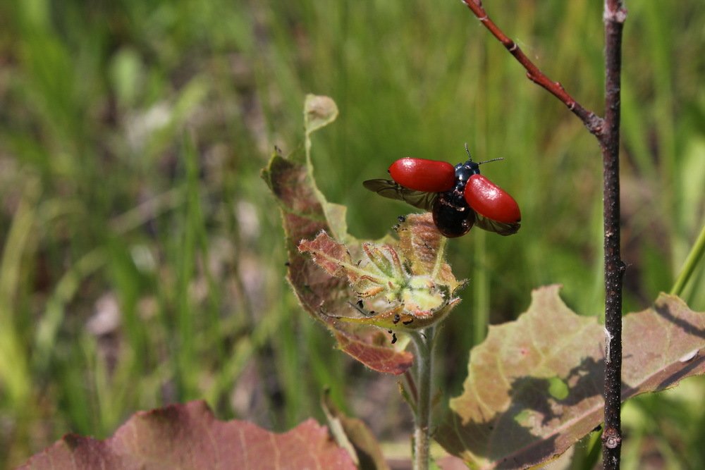 Спасибо этому дому...