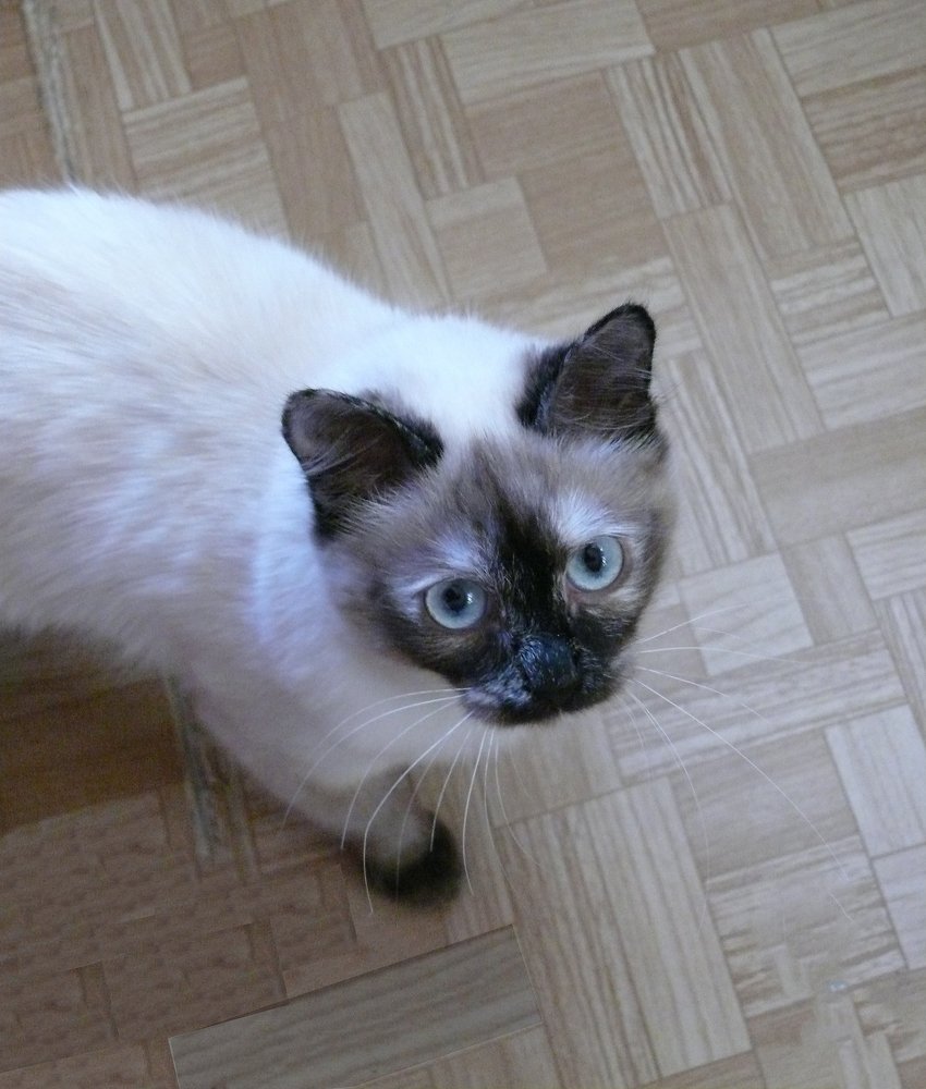 Фотография автора Клавдия Васильева