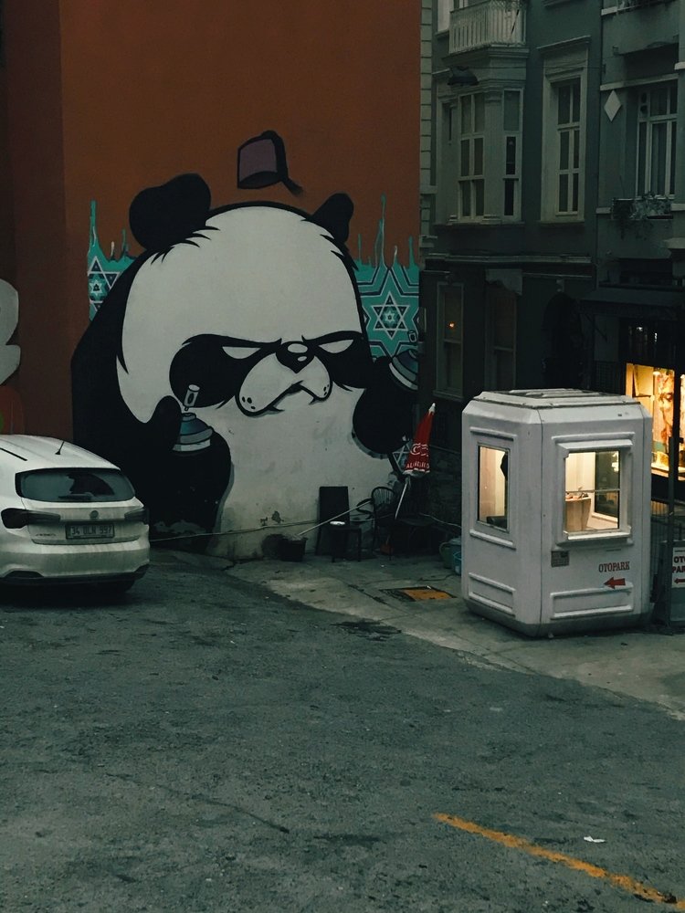 Photograph by Анатолий Карлюк