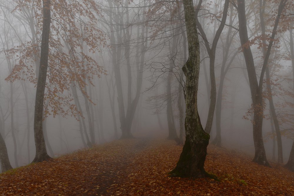 Photograph by Хасан Журтов