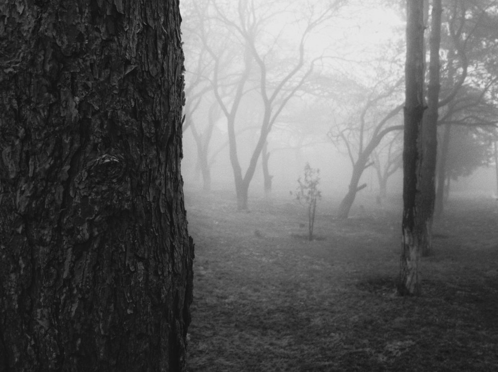 Photograph by Мгер Аршакян