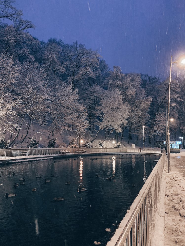 Photograph by Данила Богданов