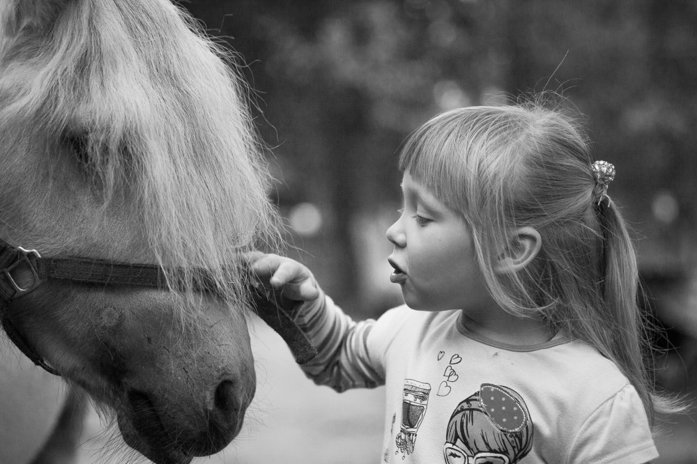 Photograph by Сергей Васильев