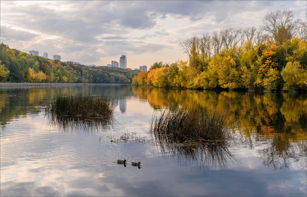 Москва-река в Филях
