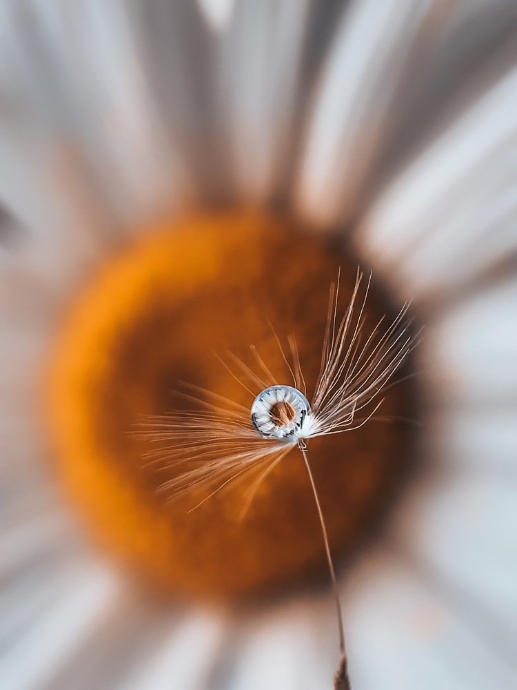 Photograph by Татьяна Левашова