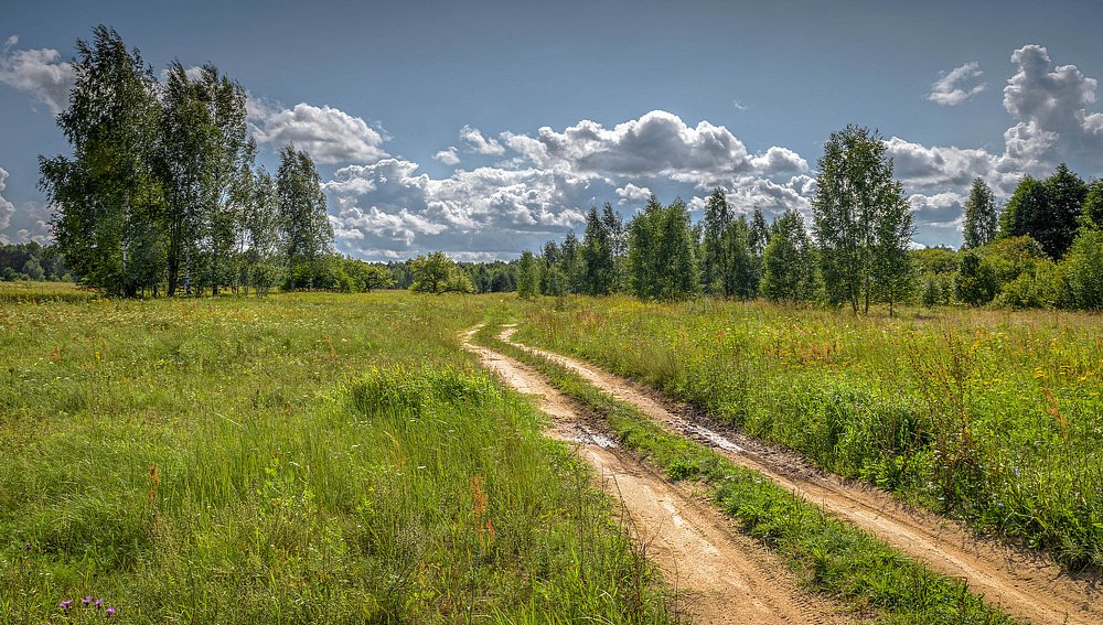 Дорога домой