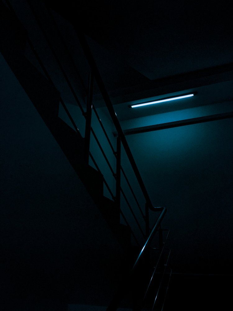 Photograph by Станислав Ситников