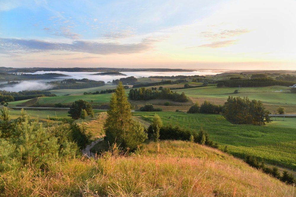 Фотография автора Iwona Moskalik