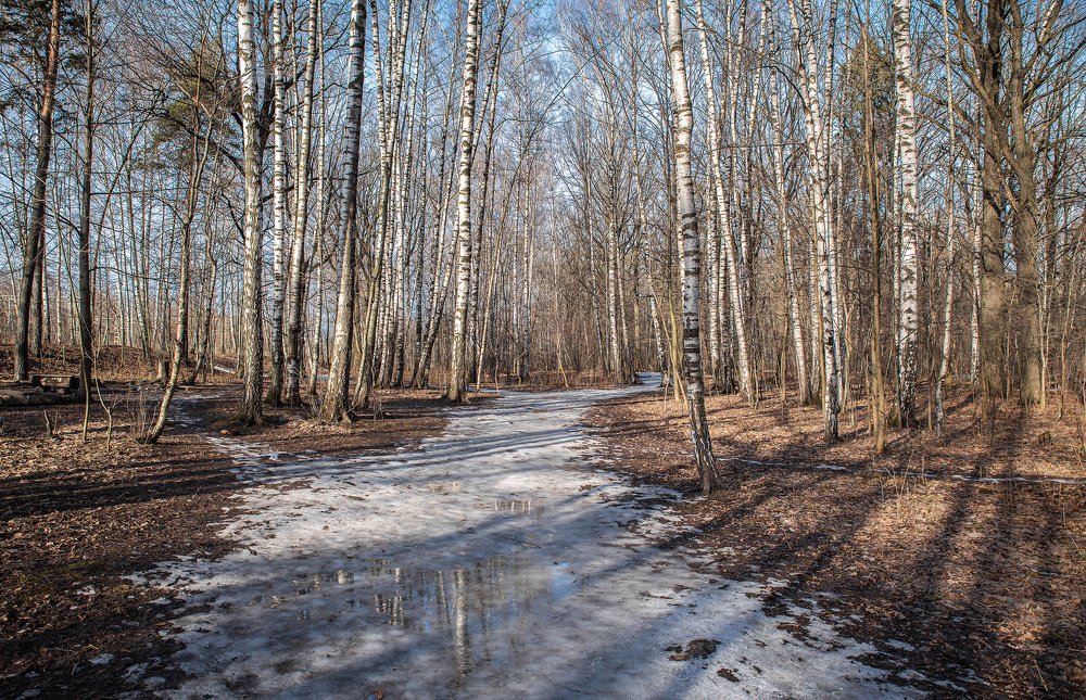 Причуды февраля