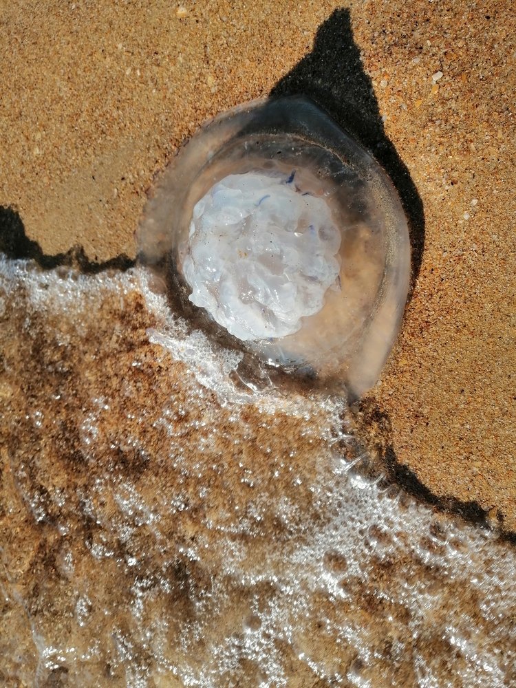 Случайная встреча