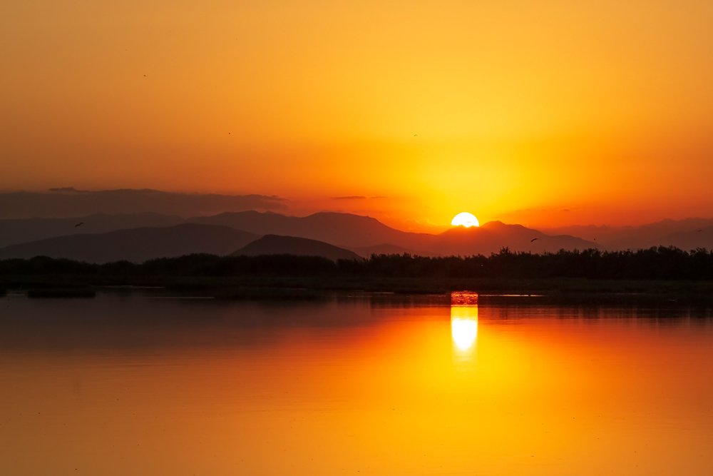 Photograph by Chia Hasankhali