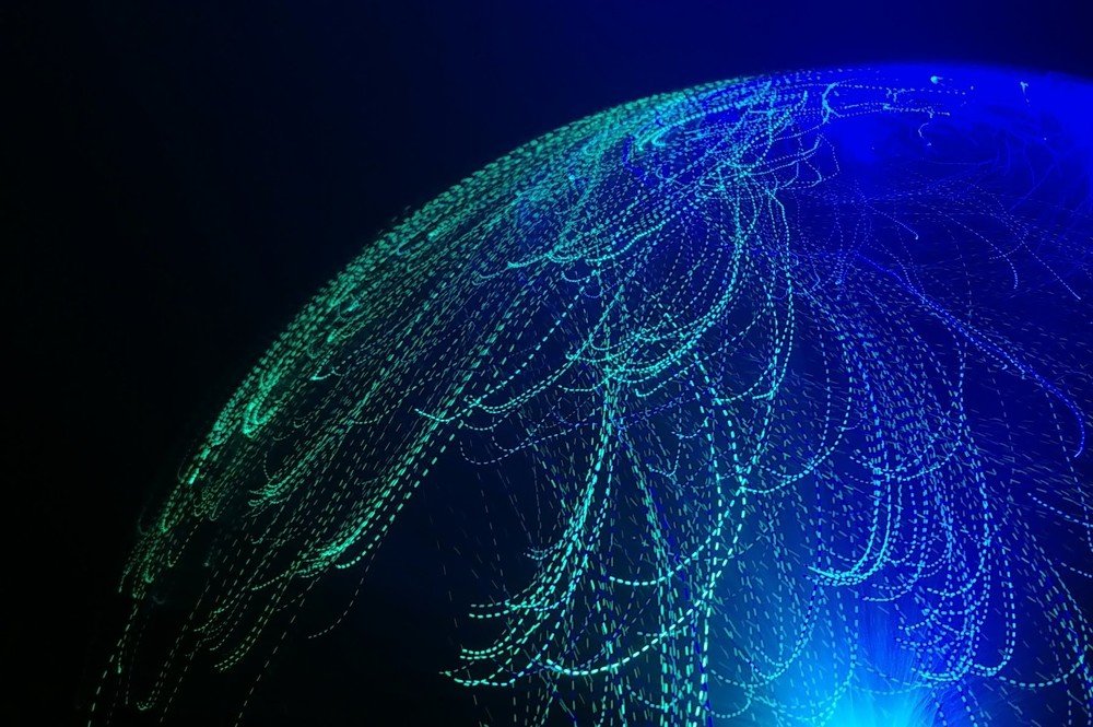 Фотография автора Iwona Moskalik