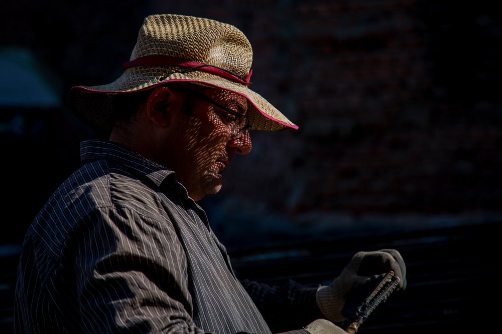 Photograph by Chia Hasankhali