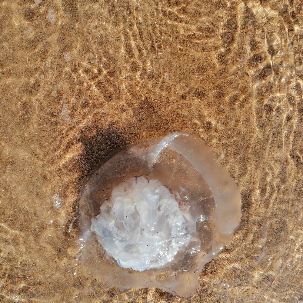 Случайная встреча