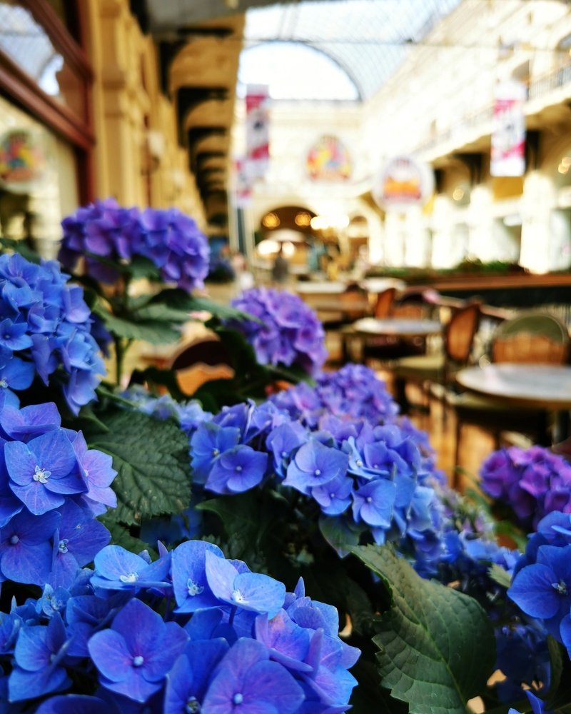 Photograph by Наталья Асоскова