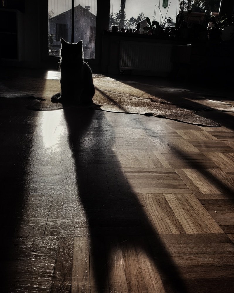 Photograph by Nelli Polle