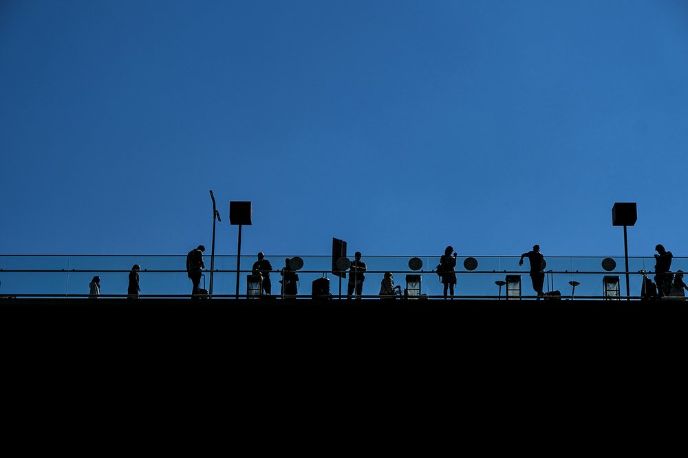 musical notes of life