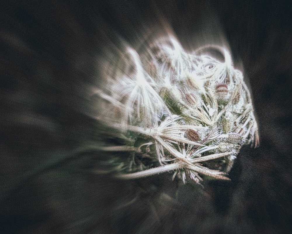 Photograph by Ави Христова