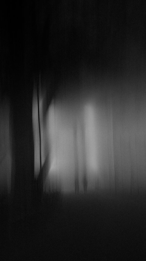 Photograph by Vusal Ibadzade