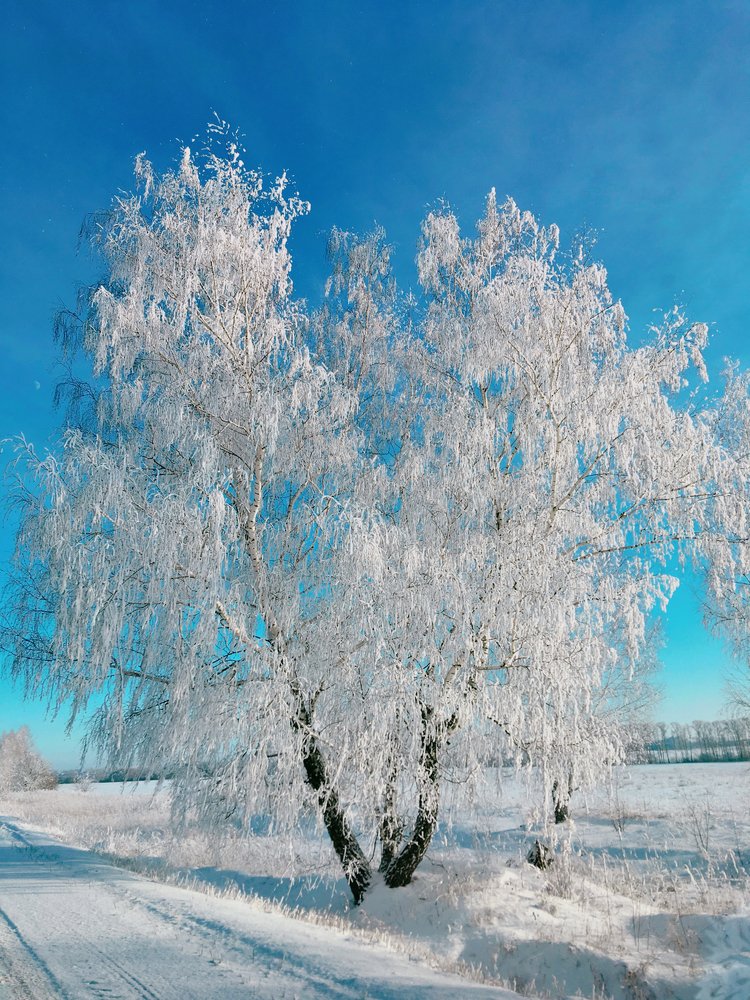 Photograph by Евгения Ципрук