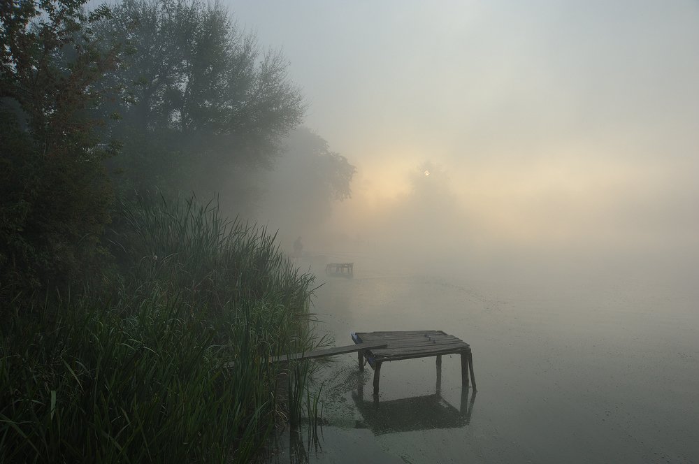 Туман рыбалке не помеха...