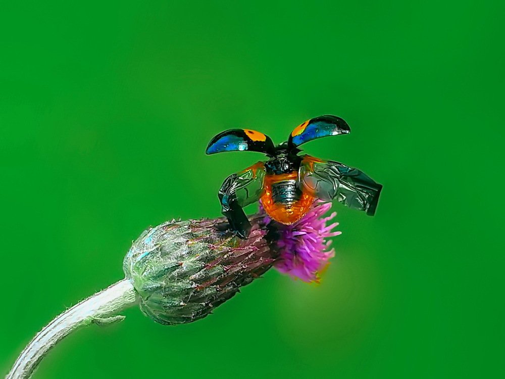 Photograph by Игорь Чеботарёв