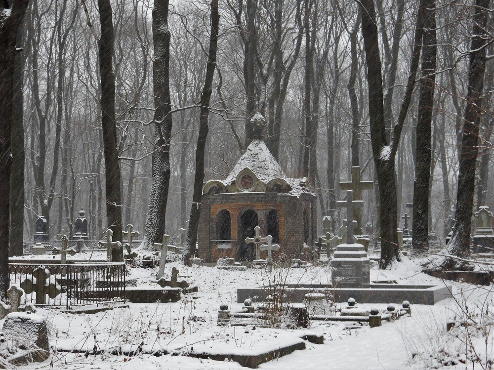 Photograph by Елена Гуляева
