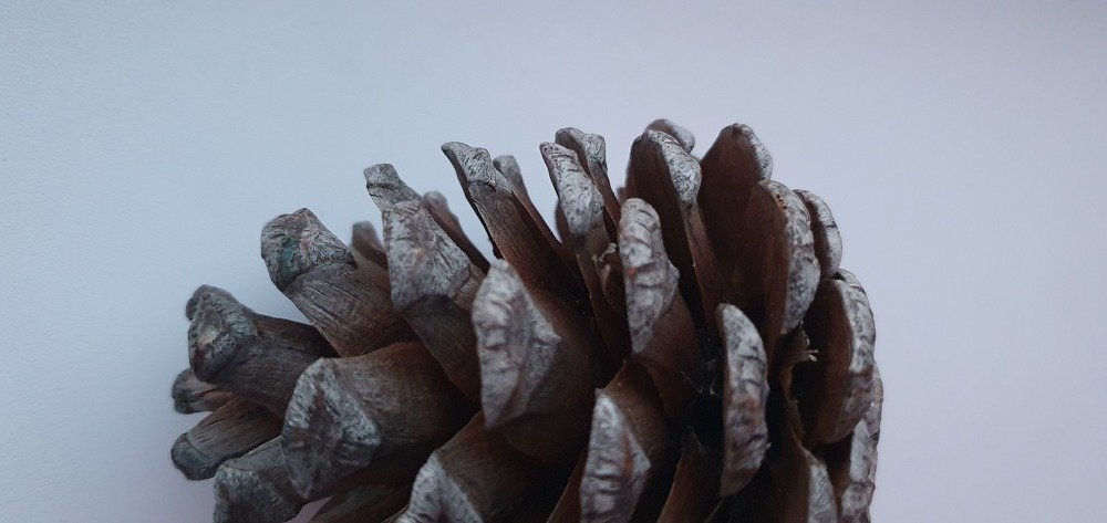 Photograph by Алина Акишина