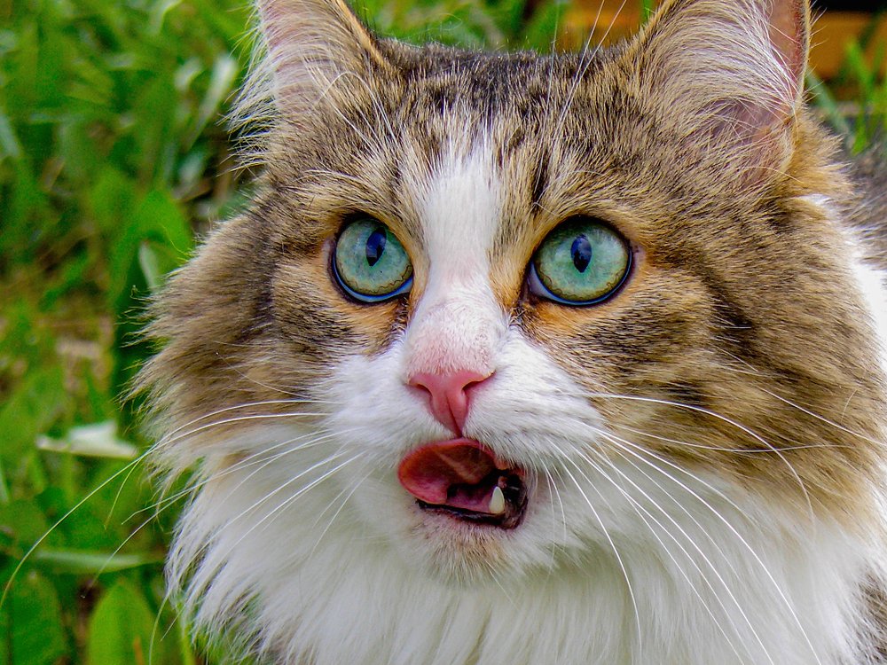 Photograph by Игорь Смирнов