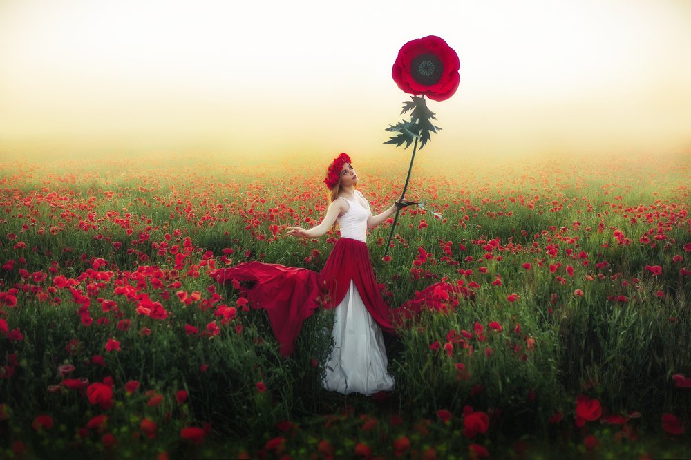 Photograph by Катерина Мельник