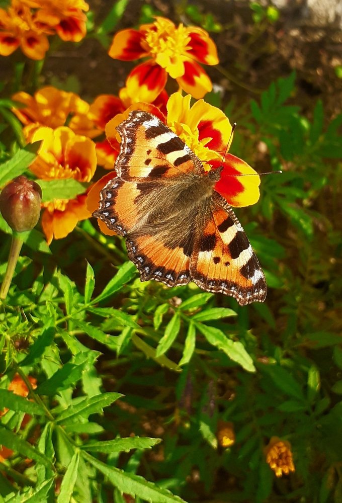 Photograph by Любовь Макарова