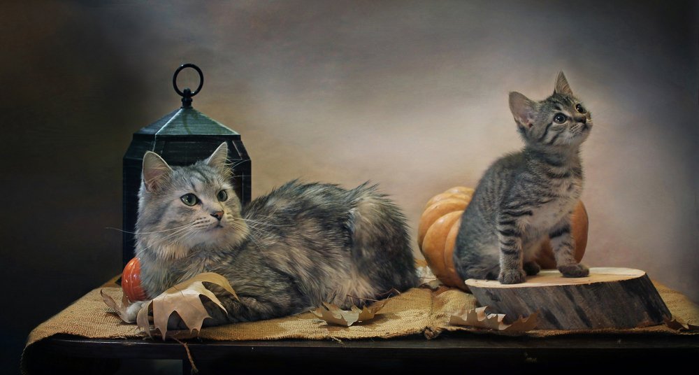 Вот что-то пролетело...