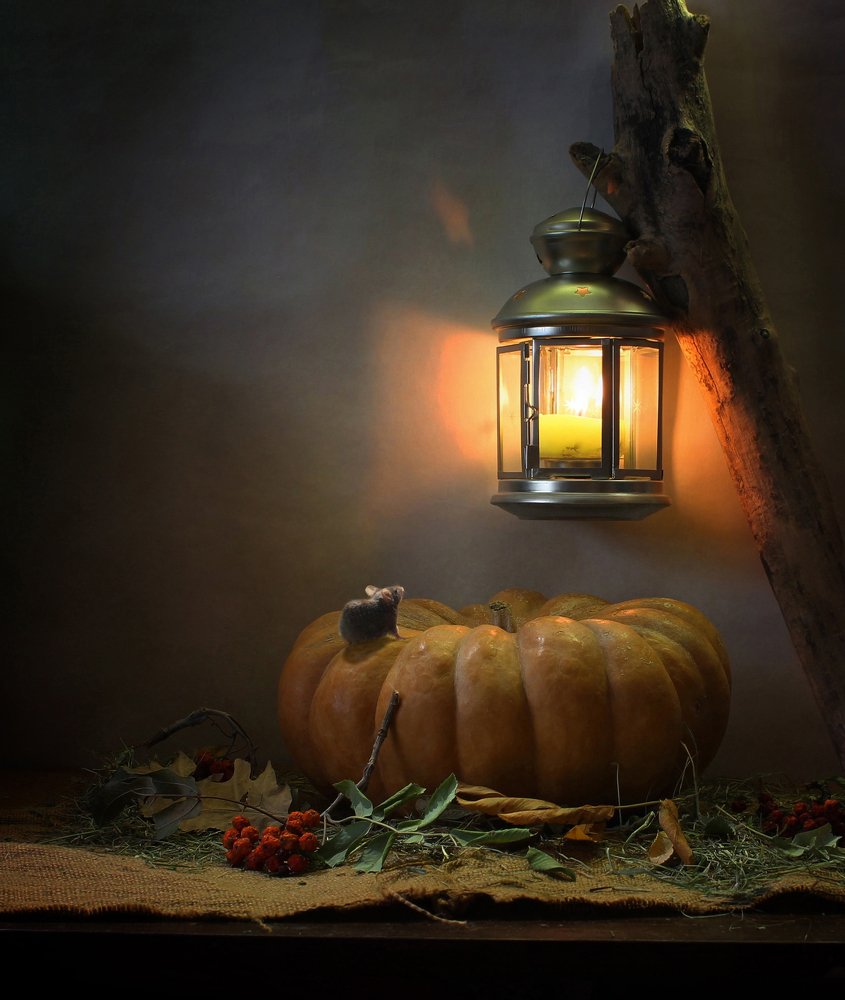 Осенью в сарайчике