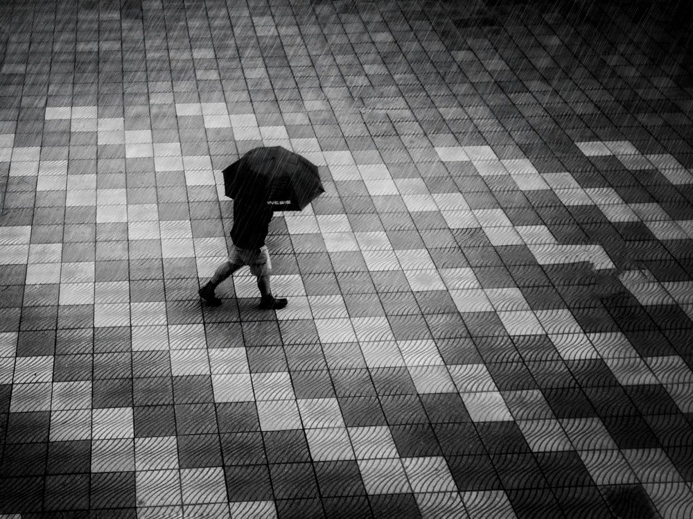 Lonely in the winter