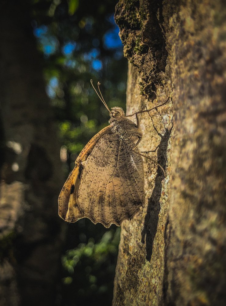 Photograph by Nebojsa Kavaric