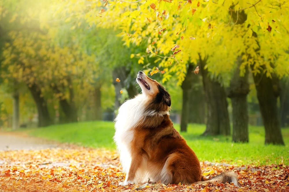 Photograph by Екатерина Кикоть