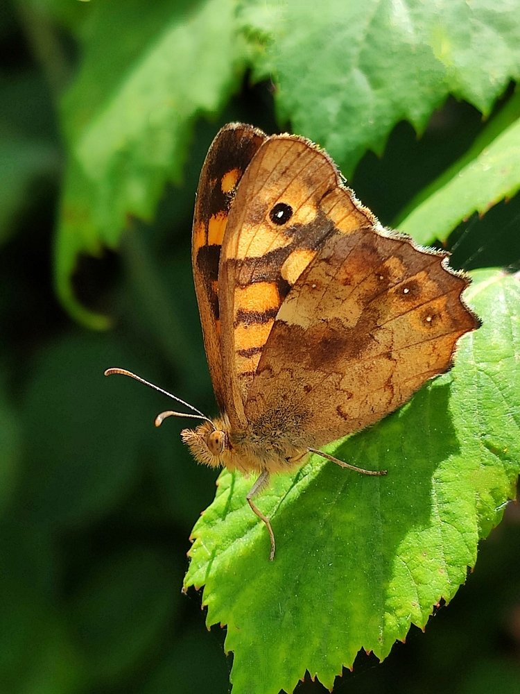 Photograph by Светлана Стрижакова