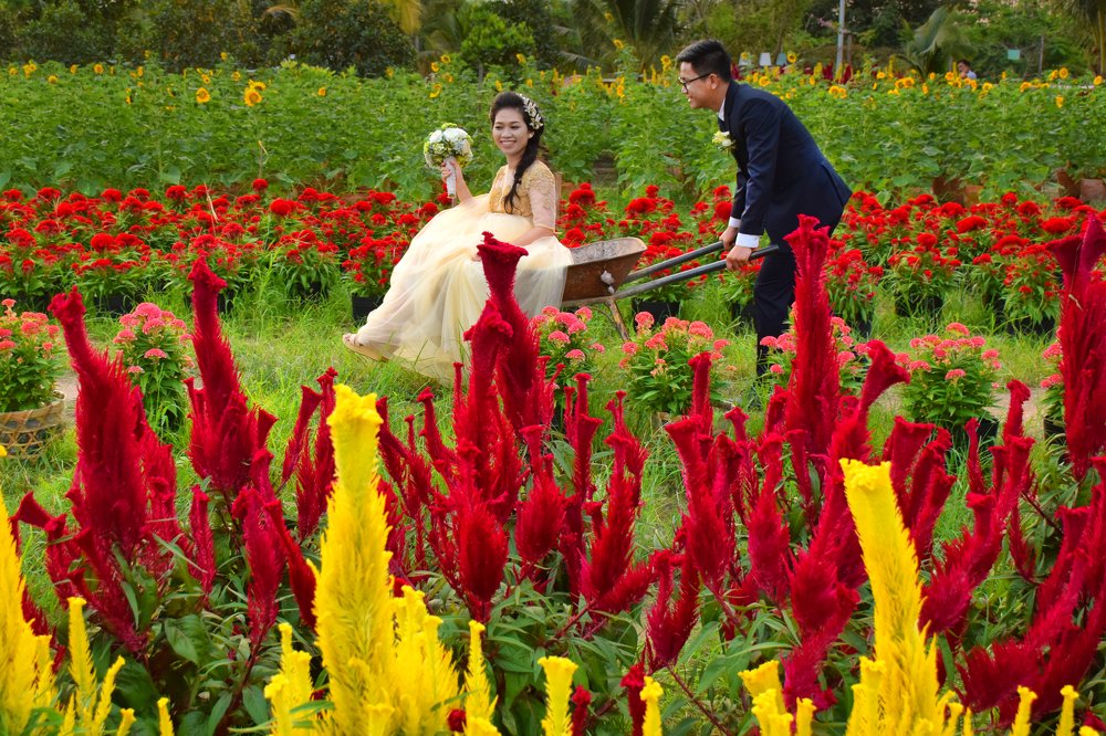 Photograph by Vy Van Bui