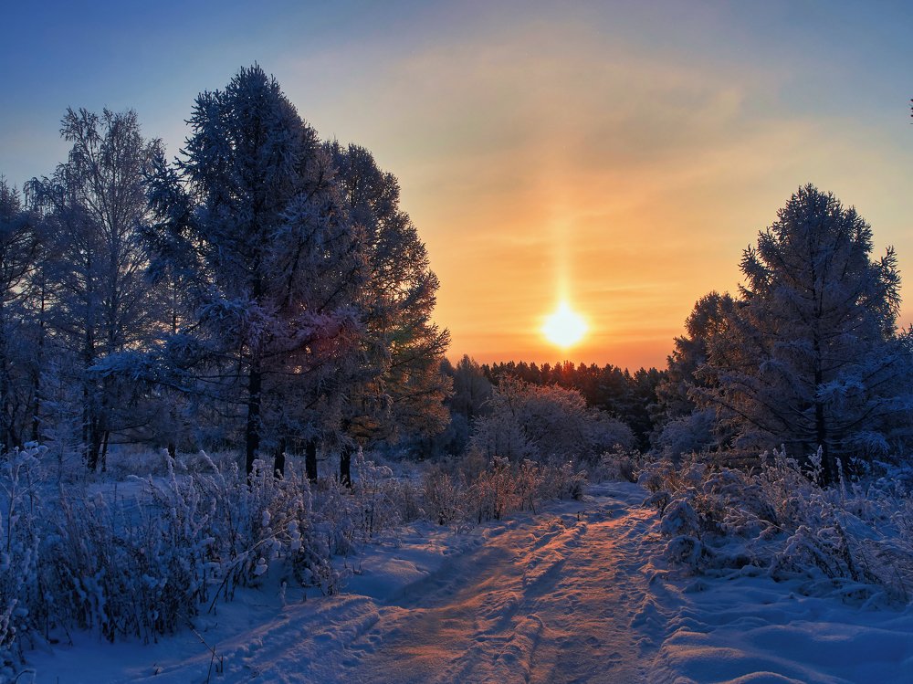 Фотография автора Георгий Муравьёв
