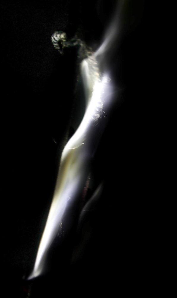 Photograph by Ajith Hindakaraldeniya