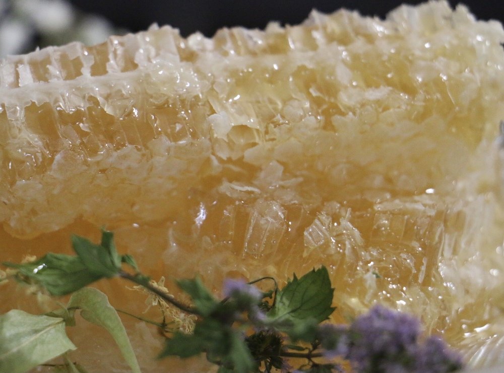 Photograph by Маргарита Венсил.