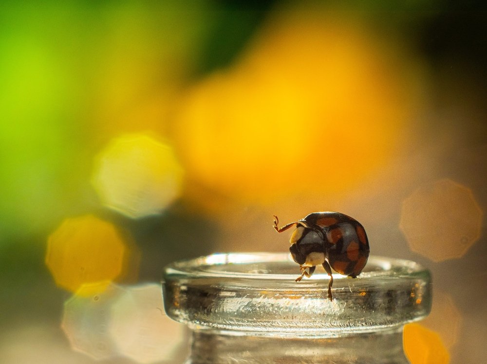 Photograph by Olga Rogozina