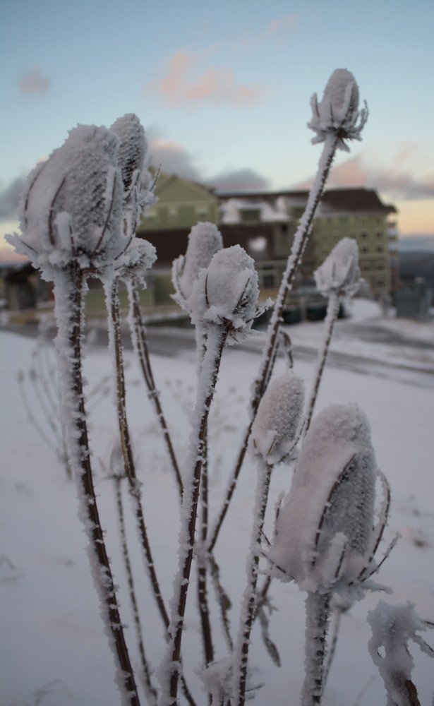 Photograph by Маргарита Венсил.