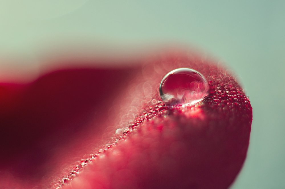 Photograph by Нурият Аллаярова